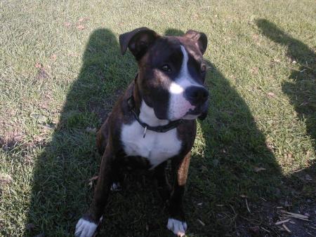tayson