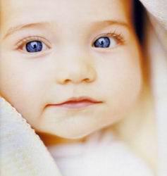 bebe
